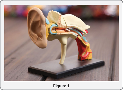 Click here to view Large Figure 1