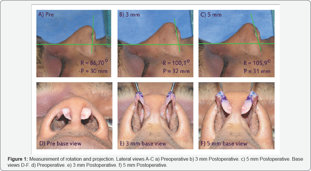 Click here to view Large Figure 1