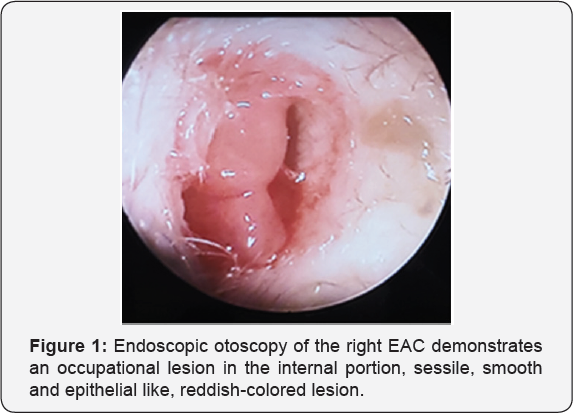 Click here to view Large Figure 1