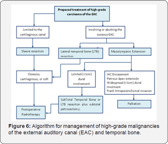 Click here to view Large Figure 6