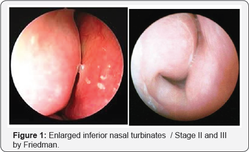 Click here to view Large Figure 1
