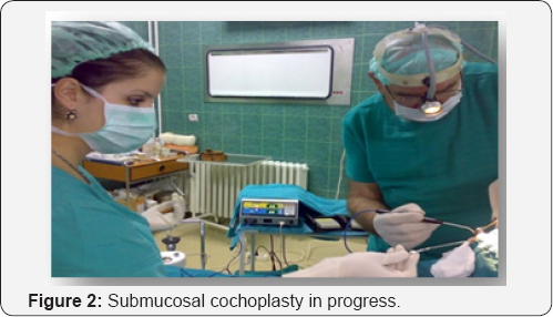 Click here to view Large Figure 2