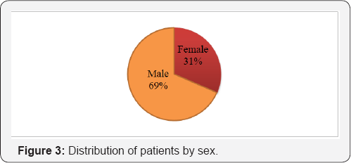 Click here to view Large Figure 3