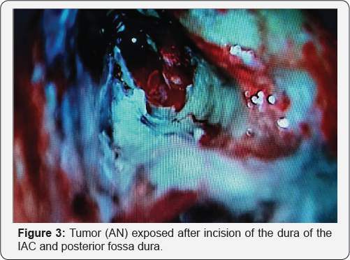 Click here to view Large Table 1