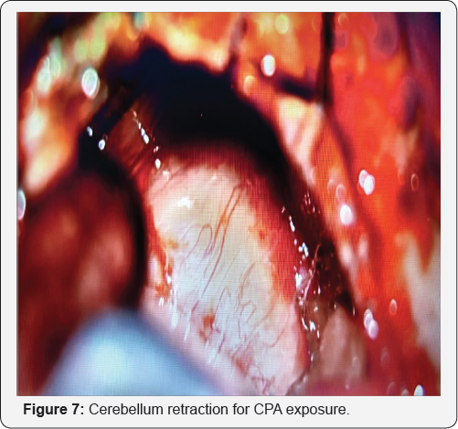 Click here to view Large Table 1