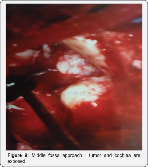 Click here to view Large Table 1