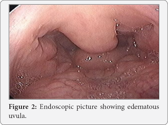 Click here to view Large Figure 2