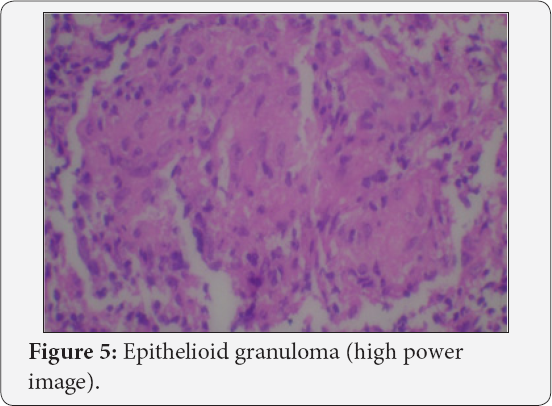 Click here to view Large Figure 5