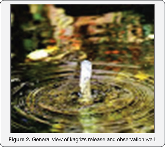 Click here to view Large Figure 2