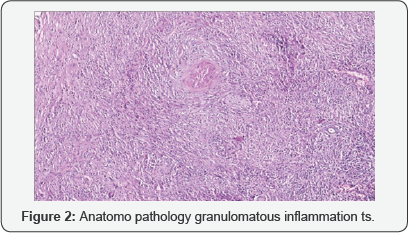 Click here to view Large Figure 2