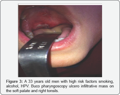 Click here to view Large Figure 3