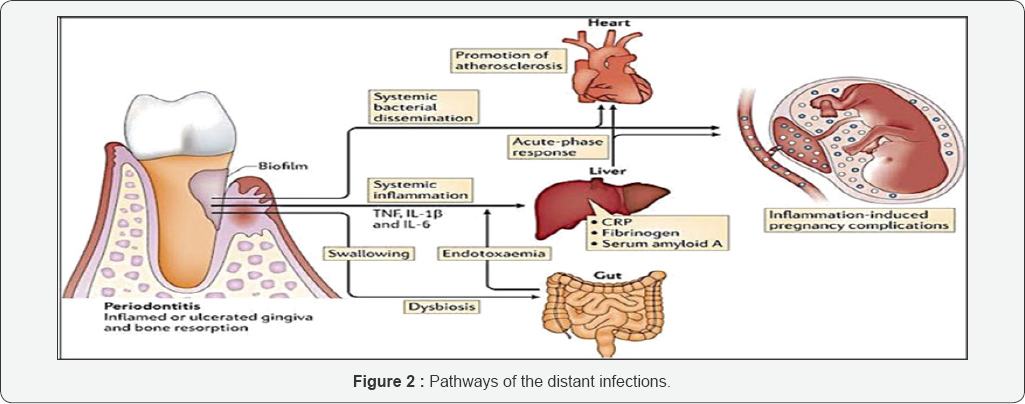 Click here to view Large Figure 2