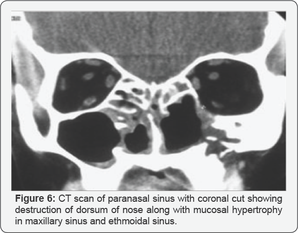 Click here to view Large Figure 6