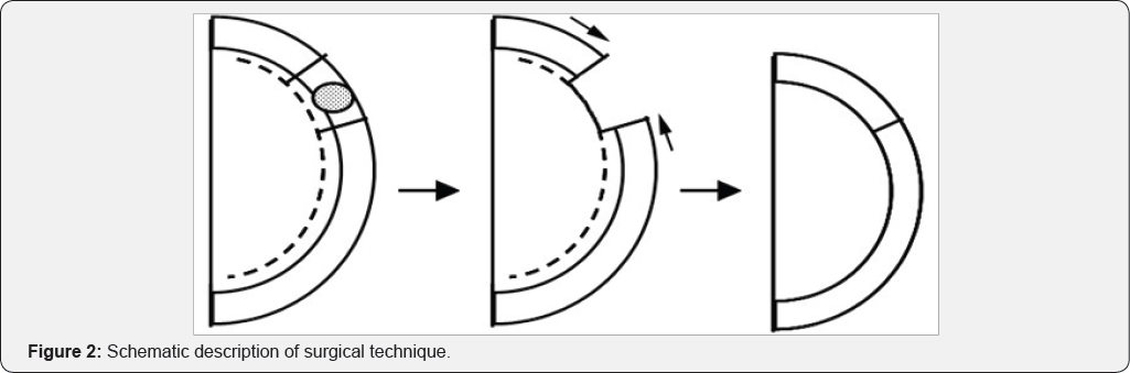 Click here to view Large Figure 2