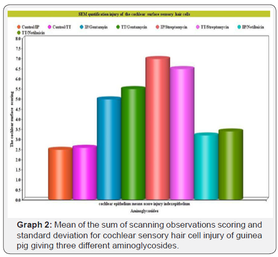 Click here to view Large Graph 2