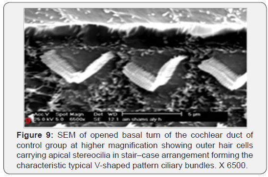 Click here to view Large Figure 9
