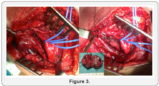 Click here to view Large Figure 3