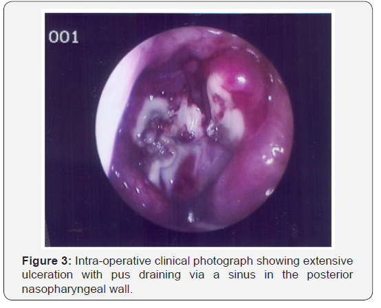 Click here to view Large Figure 3
