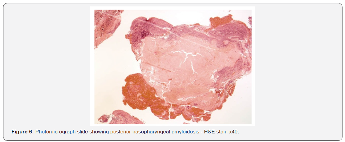 Click here to view Large Figure 6