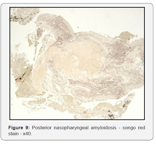 Click here to view Large Figure 9