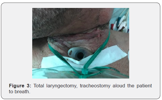 Click here to view Large Figure 3