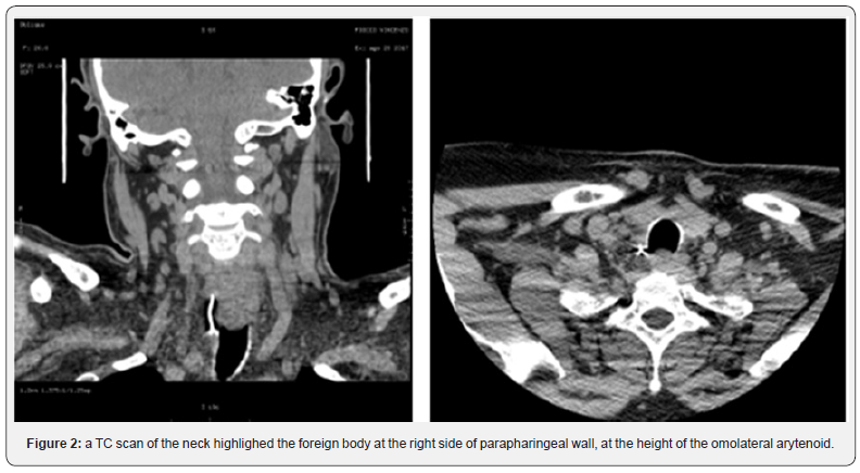 Click here to view Large Figure 2