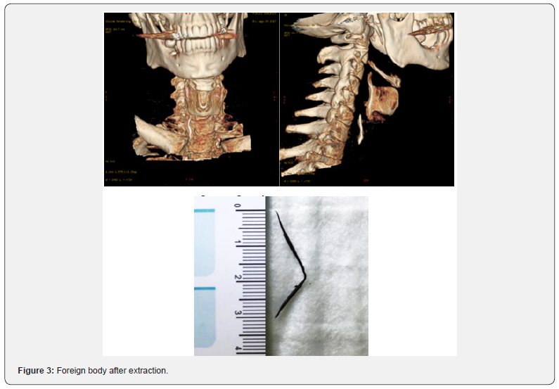 Click here to view Large Figure 3