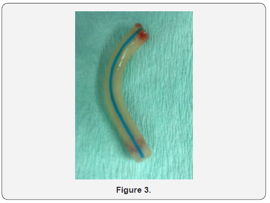 Click here to view Large Figure 3