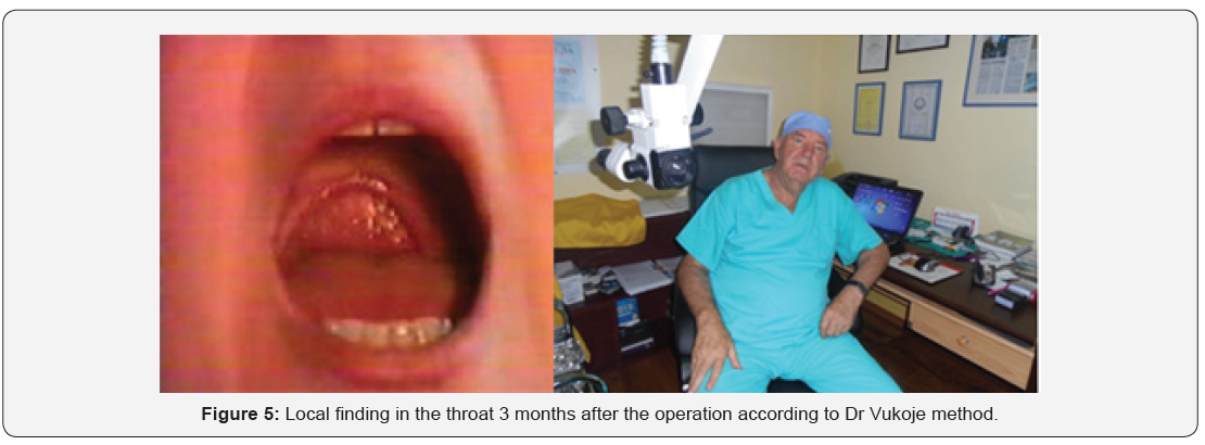 Click here to view Large Figure 5