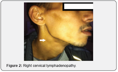 Click here to view Large Figure 2