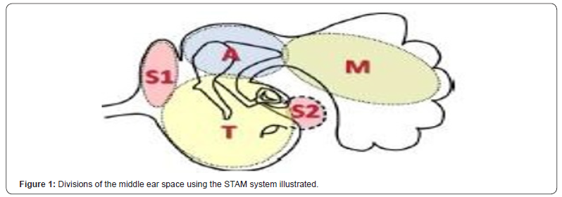 Click here to view Large Figure 1