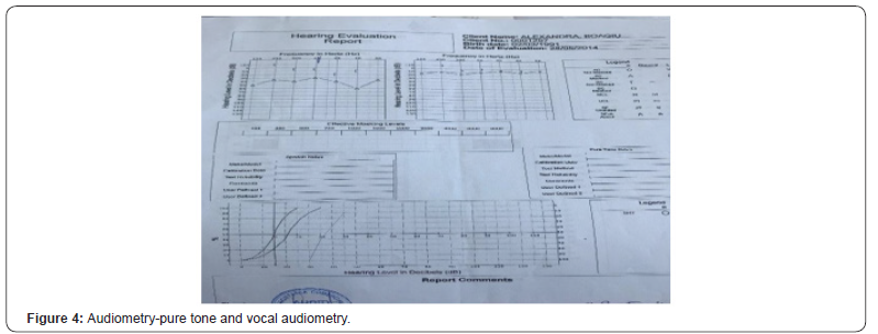 Click here to view Large Figure 4