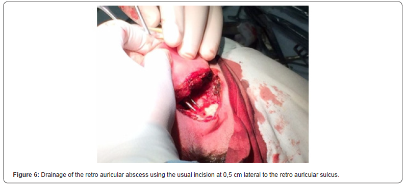 Click here to view Large Figure 6