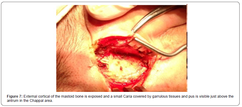 Click here to view Large Figure 7