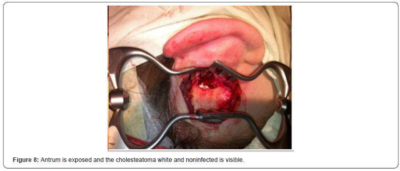 Click here to view Large Figure 8