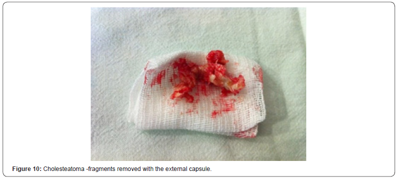 Click here to view Large Figure 10