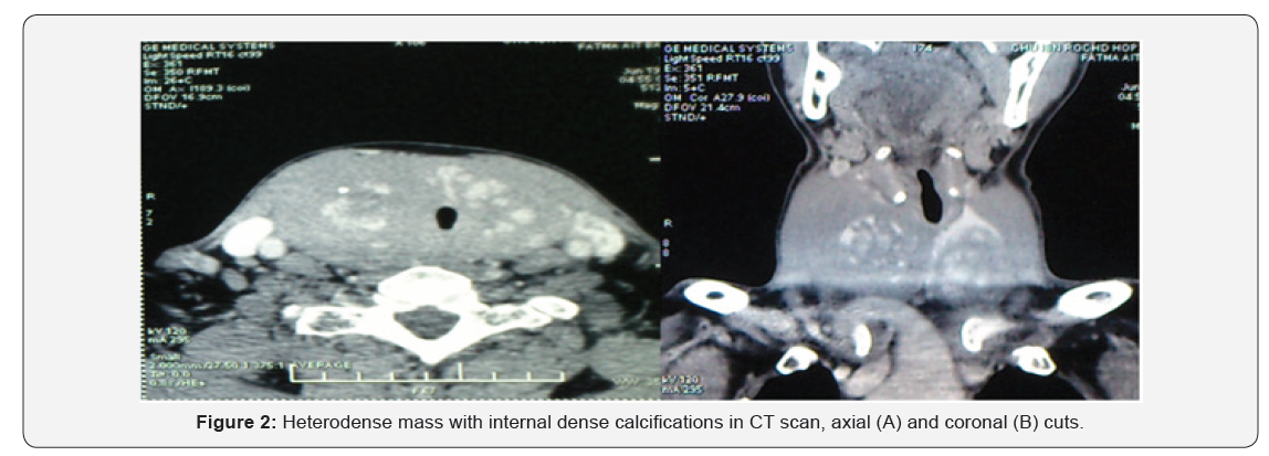 Click here to view Large Figure 2