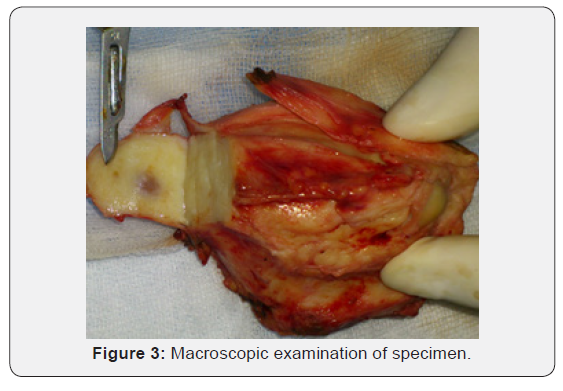 Click here to view Large Figure 3