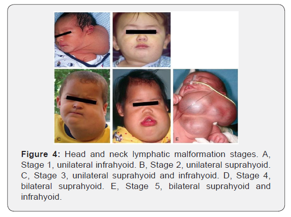 Click here to view Large Figure 4