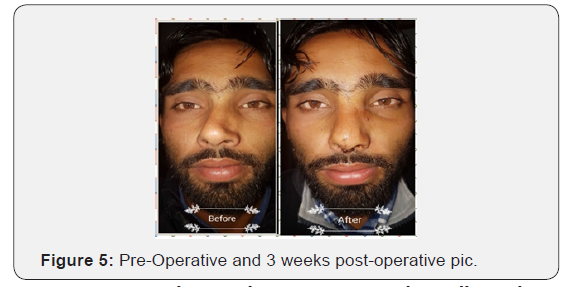 Click here to view Large Figure 5