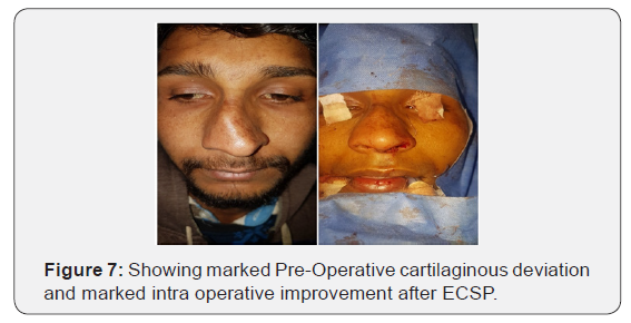 Click here to view Large Figure 7