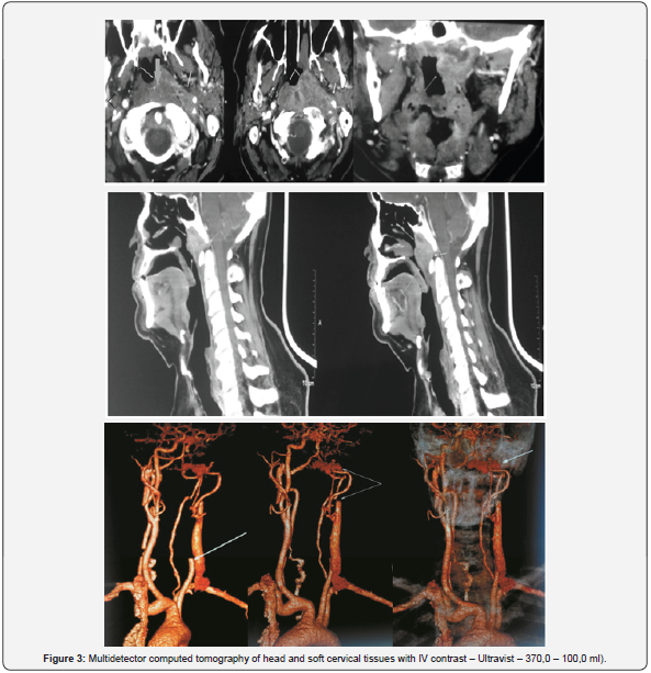 Click here to view Large Figure 3