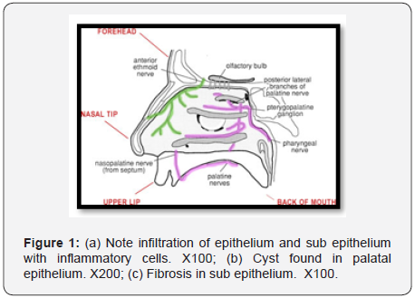 Click here to view Large Figure 1 Material Science
