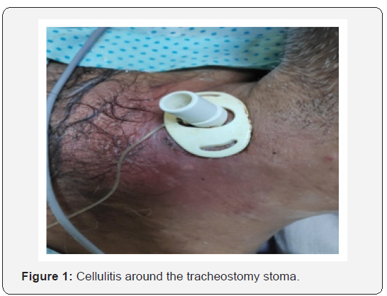 Click here to view Large Figure 1