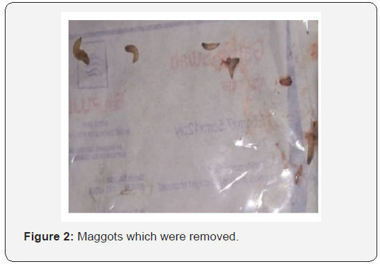 Click here to view Large Figure 2