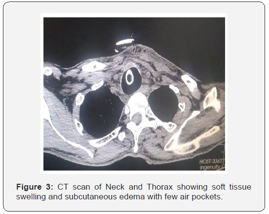 Click here to view Large Figure 3