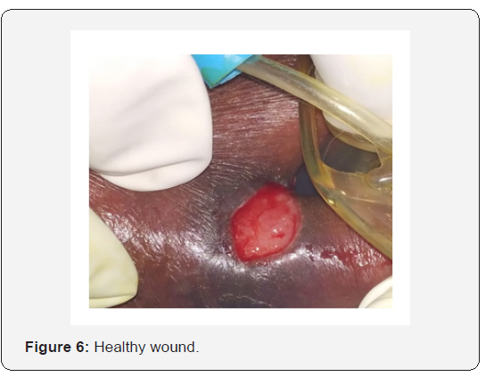 Click here to view Large Figure 6