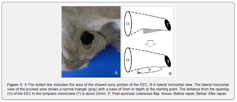 Click here to view Large Figure 3