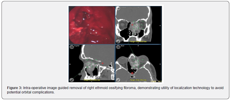 Click here to view Large Figure 3
