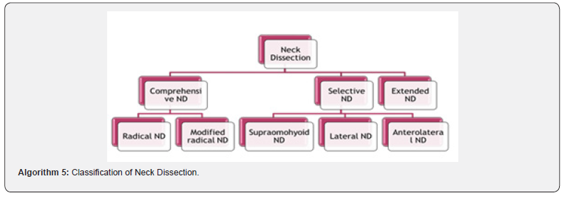 Click here to view Large Algorithm 5